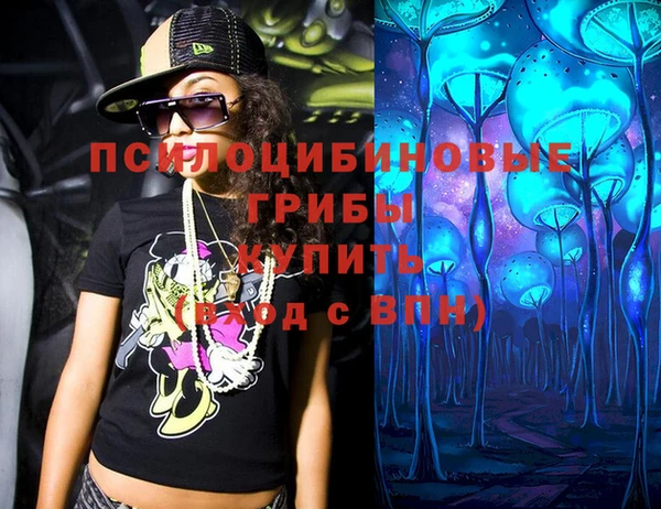 соль ск Медногорск