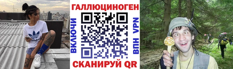 Галлюциногенные грибы прущие грибы  Купить  Обнинск 